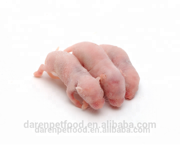 1-3g nutritious frozen pinky mice for reptiles pet food